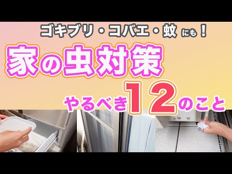 【家の虫よけ対策】虫がいなくなる12の方法をご紹介します