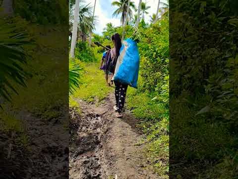 Living in the Philippines 🇵🇭 Rural Life Vlog #farmer #farmerslife #provincelife