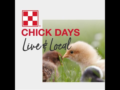 Cherokee Feed & Seed Flock Talk - June 2020