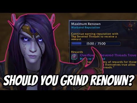 SHOULD YOU GRIND REPUTATION AFTER HITTING MAX RENOWN RANK IN WAR WITHIN & WHAT REWARDS DO YOU GET?