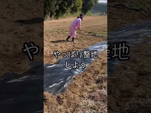 自給自足 私の田舎遊び