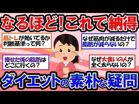 【ガルちゃん 有益トピ】みんなが気になるダイエットに関する疑問。眠れなくなるほど面白い体の仕組みとダイエットの話｜食事 体脂肪 運動 筋トレ【ゆっくり解説】