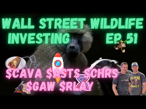 E51: Are Small Caps Set to Outperform? $GAW $ASTS $RLAY $CHRS