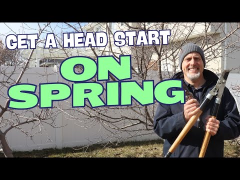 February Garden Jobs   Get a Head Start on Spring!