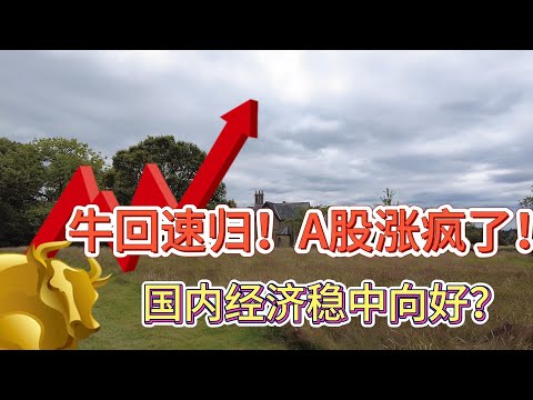 牛回速归~A股涨疯了！中国经济稳中向好？#价值投资 #美股投资​ #中国股市 #投资策略​ #美股​ #A股 #港股