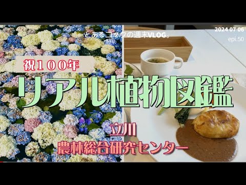 祝１００年　立川・農林総合研究センターのリアル植物図鑑　epi.50　｜立川｜紫陽花｜花手水｜噴水｜新樹種見本園