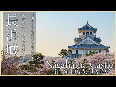 【滋賀／観光名所】長浜城／秀吉が築いた琵琶湖畔の水城 - Nagahama Castle in SHIGA, JAPAN