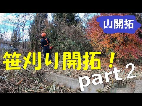 【山開拓】未開拓の場所を開拓したらすごい景色が⁉