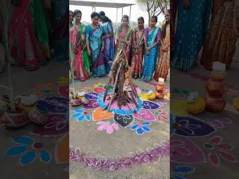 #school #celebration #sankranthi #muggulu #traditional #2024