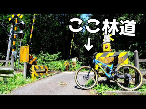 「MTBはいいぞ～！」マウンテンバイクで東京の林道をサイクリングしてきた(kona process134)