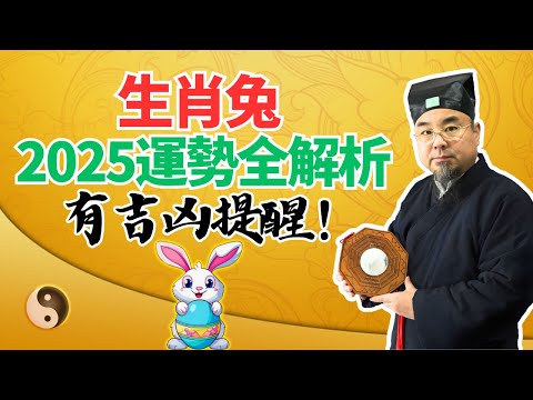 生肖兔，2025乙巳蛇年流年運勢全解析！吉凶大揭秘！属兔人必看！ #2025年生肖兔運勢 #2025年生肖兔運程 #2025年屬兔運勢 #2025年屬兔運程