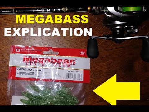 MEGABASS  pataliro , presentation et explication