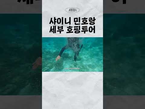 민호X민허