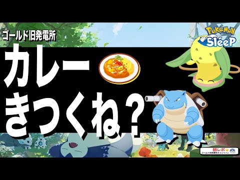 ゴールドのカレー週、何していいか分からん問題【ポケモンスリープ】