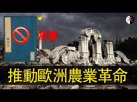 一本中國人寫的書，直接推動了歐洲的各種技術進步，甚至是農業革命，在國內卻被列為禁書200年！#中国 #乾隆 #历史 #历史趣闻 #清朝 #中華 #天工開物 #禁書 #宋應星 #傳統文化 #國學