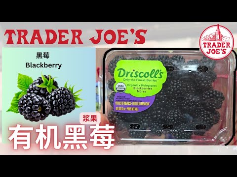 【Trader Joe‘s 有机黑莓】黑莓有什么好？花青素的作用！低热量高纤维 - 吃水果， 浆果是首选！【EN/中文Sub】