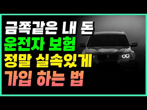 운전자보험 어떻게 가입해야 손해보지 않을까요? 대한민국 국민이 가입하는 운전자보험 꿀팁!