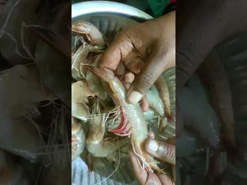 How to Clean Prawns #shorts #prawns #cleaning #prawnscleaning #telugu #trendingshorts