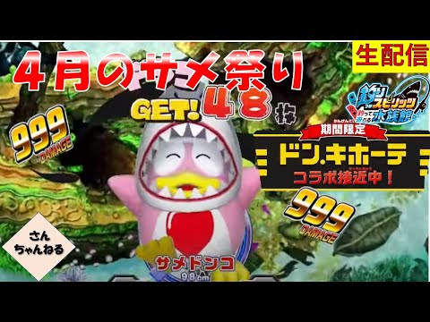 ４月のサメ祭り！！サメドンコちゃん登場！！ガンガン釣りまくるぞー！釣りスピリッツ 釣って遊べる水族館実況プレイ 【さんちゃん】　生配信