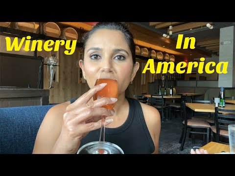 WINE with me in AMERICA | Washington DC | Indian American Vlogger | Kannada Vlog