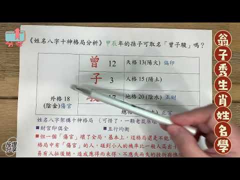 《翁子秀十神生肖姓名學》甲辰年的孫子可以取名曾子駿嗎? |名字分析|改名|起名 |姓名分析鑑定|生肖姓名學