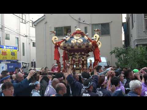 20240526石浜神社１３００年　ご本社神輿お宮入り