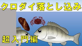 【クロダイ落とし込み】釣れる３つの方法とエサと場所（ポイント）