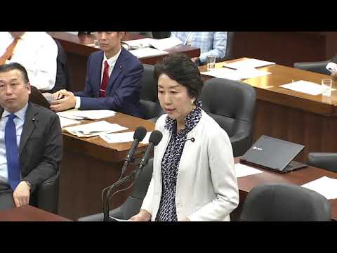 早稲田ゆき　2023年11月16日　衆議院・消費者問題特別委員会