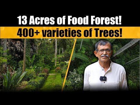 🌳A Walk Through Abundance: AP Chandrashekhar’s Food Forest with Thamizhmaaran 🌿