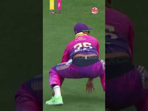 Captain 🆚 Captain: Shakib Al Hasan’s incredible catch sends Marcus Stoinis back! 🌟