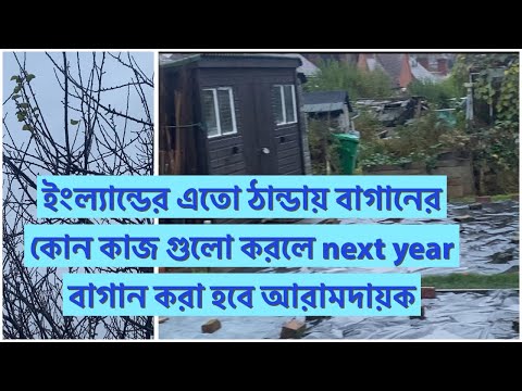 ইংল্যান্ডের এতো ঠান্ডায় বাগানের কোন কাজ গুলো করলে next year  বাগান করা হবে আরামদায়ক