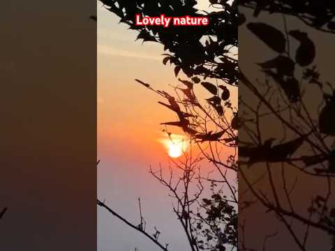 Lovely nature#naturelover#asmrnature#sunriseview#greenview#hillview#seaview#shorts#nature