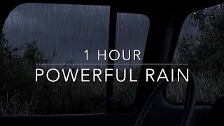 Powerful night thunderstorm - Heavy Rain and Thunder - Rain Sounds for sleep - 1 hour Windy Rain