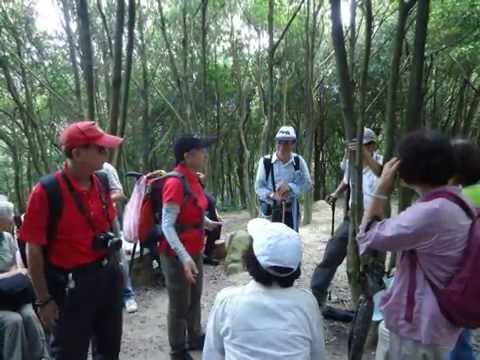 翠山步道尋幽趣