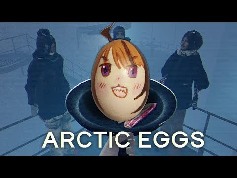 【ARCTIC EGGS】cage free eggs only