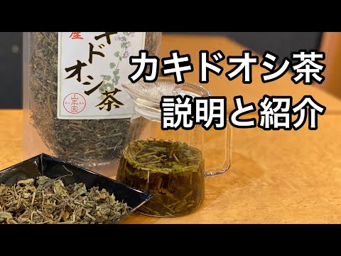 美味しい健康茶の淹れ方　カキドオシ茶編　カキドオシ茶の説明と紹介