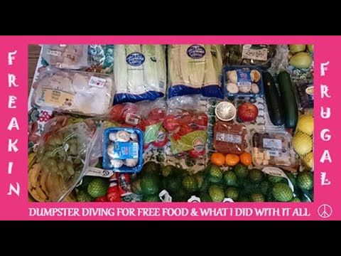 DUMPSTER DIVING at ALDI & What I Did With All That Free Food