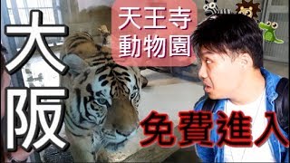 大阪周遊卷免費進場! | 天王寺動物園超可愛 | 大阪 通天閣 | 《德德TV》| 日本自由行#25