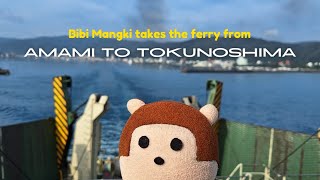 Bibi Mangki takes the ferry to Tokunoshima 🚢 Japan vlog 🇯🇵 奄美大島 徳之島町