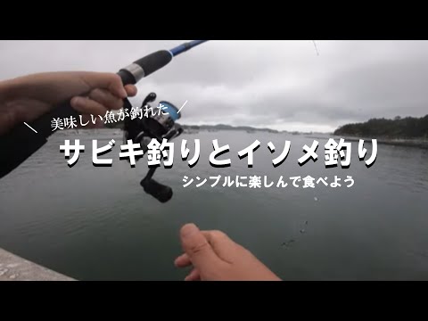 【サビキ＆イソメ釣り】ジグヘッドに青イソメを付けて釣りしてみた。