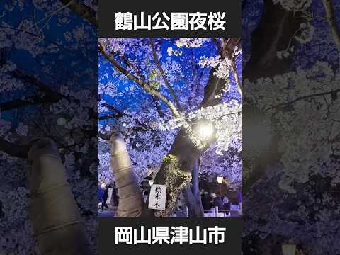 鶴山公園の夜桜 #岡山