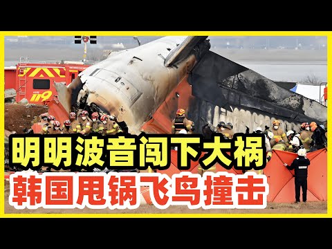 韩国飞机事故又是飞鸟出来背锅！波音737-800的问题只字不提！波音质量缺陷的2个吹哨人，今年全都离奇去世，每个人都知道谁干的！却没有一个大媒体敢正面质疑抨击波音！韩国人更是不敢吱一声！