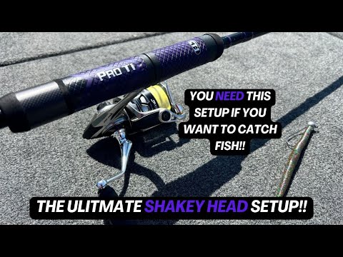 You NEED This Setup If You Want To Catch Fish!! The Ultimate Shakey Head Setup!!