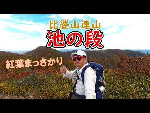 広島のおすすめ紅葉登山！熊野神社から池の段【比婆山】