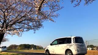 土手を通る車にブチ切れ罵声を浴びせる撮り鉄