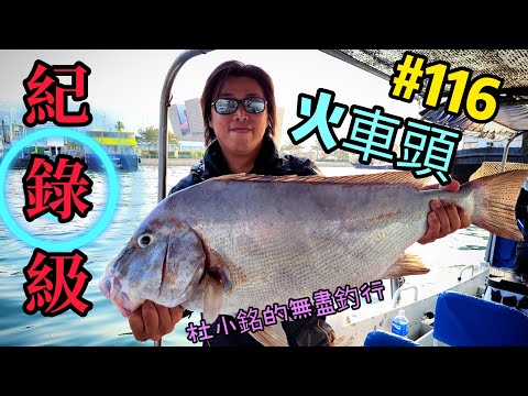 杜小銘的無盡釣行#116_#釣魚 #香港釣魚 #釣り #艇釣 #船釣 #雞魚 #白鱲 #誘餌籠 #搖籠 #五目釣り #伊佐木 #赤鱲 #真鯛 #細鱗 #胡椒鯛 #火車頭 #電攪 #電輪 #爆釣