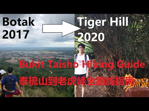 Bukit Taisho Complete Hiking Trail Guide 马口泰梳山到老虎峰全路线指南