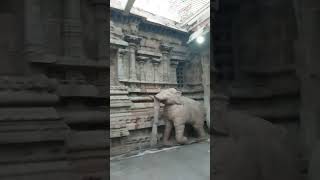 Elephant stone chariot #sarangapanitemple #kumbakonam