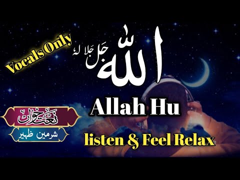 Zikr Allah Hu | Listen & Feel Relax | Darbane Mustafa | New Naat 2023