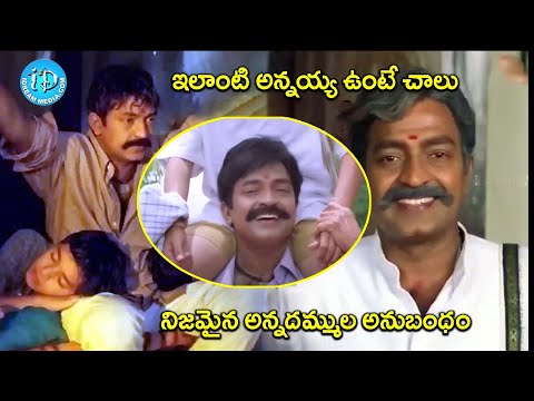 ఇలాంటి అన్నయ్య ఉంటే చాలు | Maa Annayya Movie Rajshekar Best Emotional Scene | @iDreamCelebrityMasti